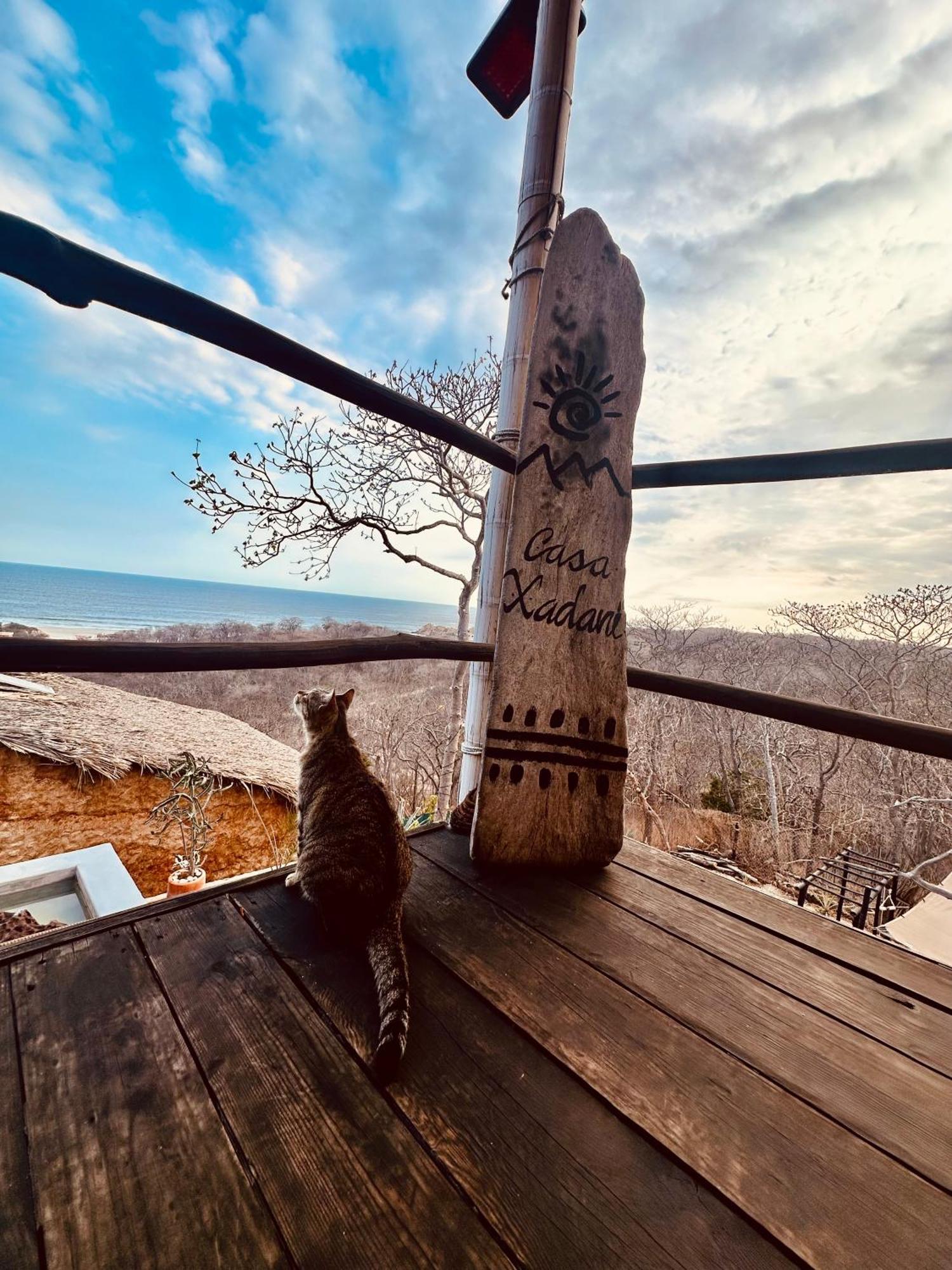 Casa Xadani Villa Barra Copalita Kültér fotó